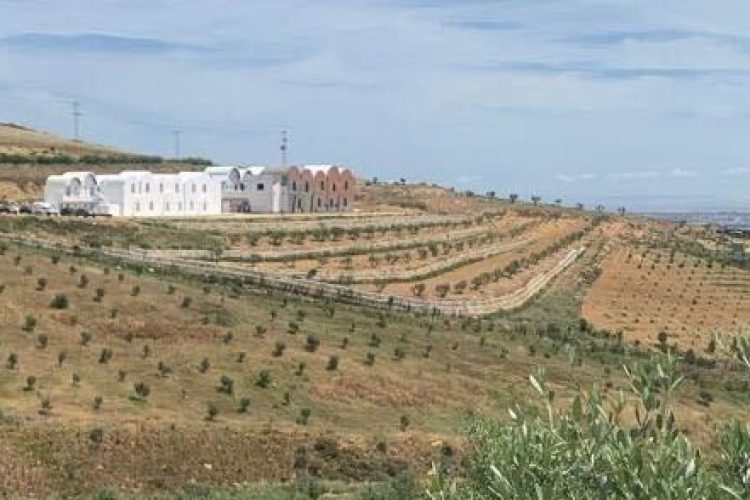 Utique_landscape